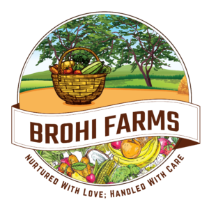 Brohi Farms Logo-01